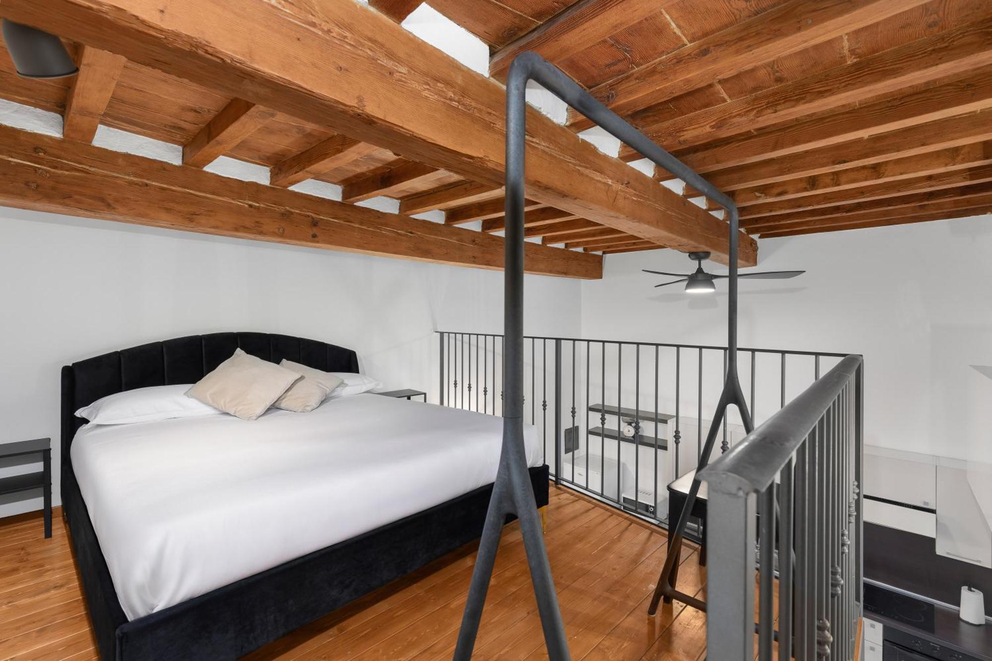 Roped Loft Borgo Pinti Apartment Florence